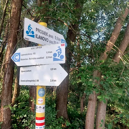 Domek alpejski Wellness Liptov Ižipovce